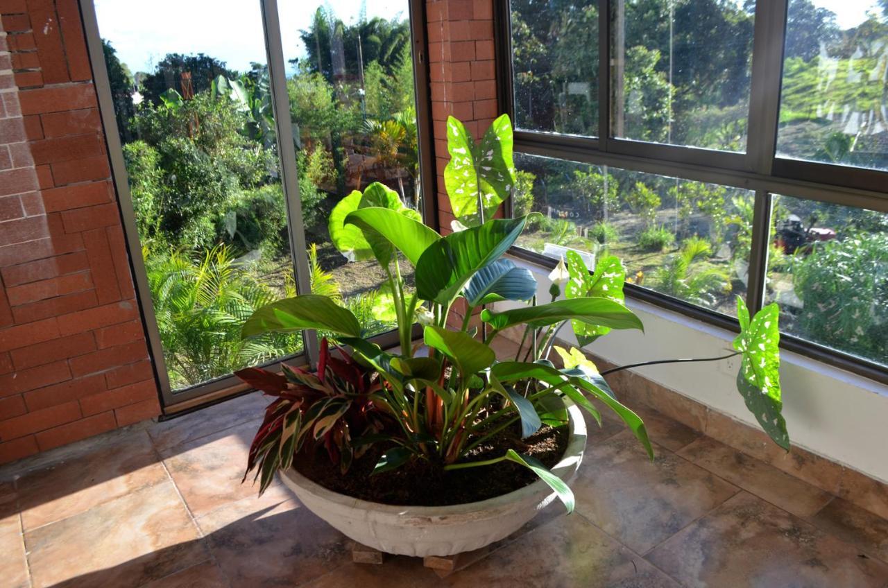 Aromarte Finca Hotel Filandia Ngoại thất bức ảnh